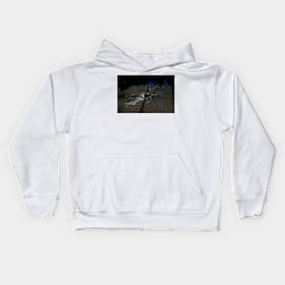 Swan Dive Kids Hoodie